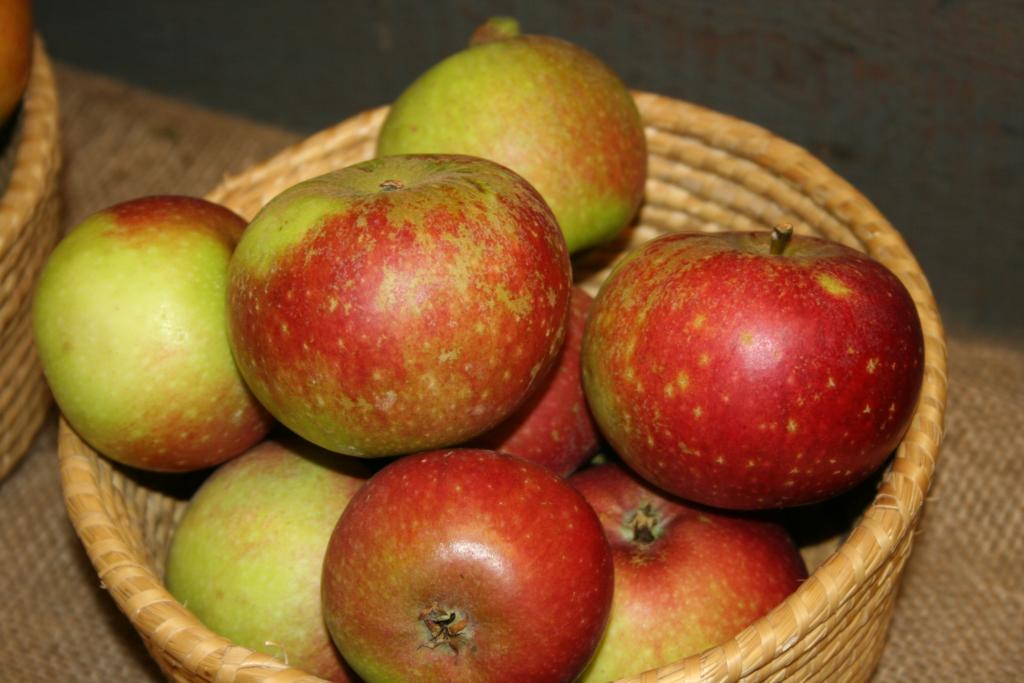 Malus domestica ’Ingrid Marie’ - Bild 2