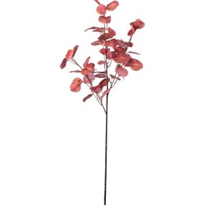 Konstväxt Eucalyptus